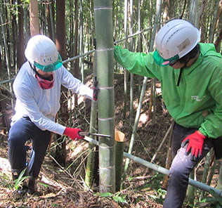 栃木県での間伐整備活動