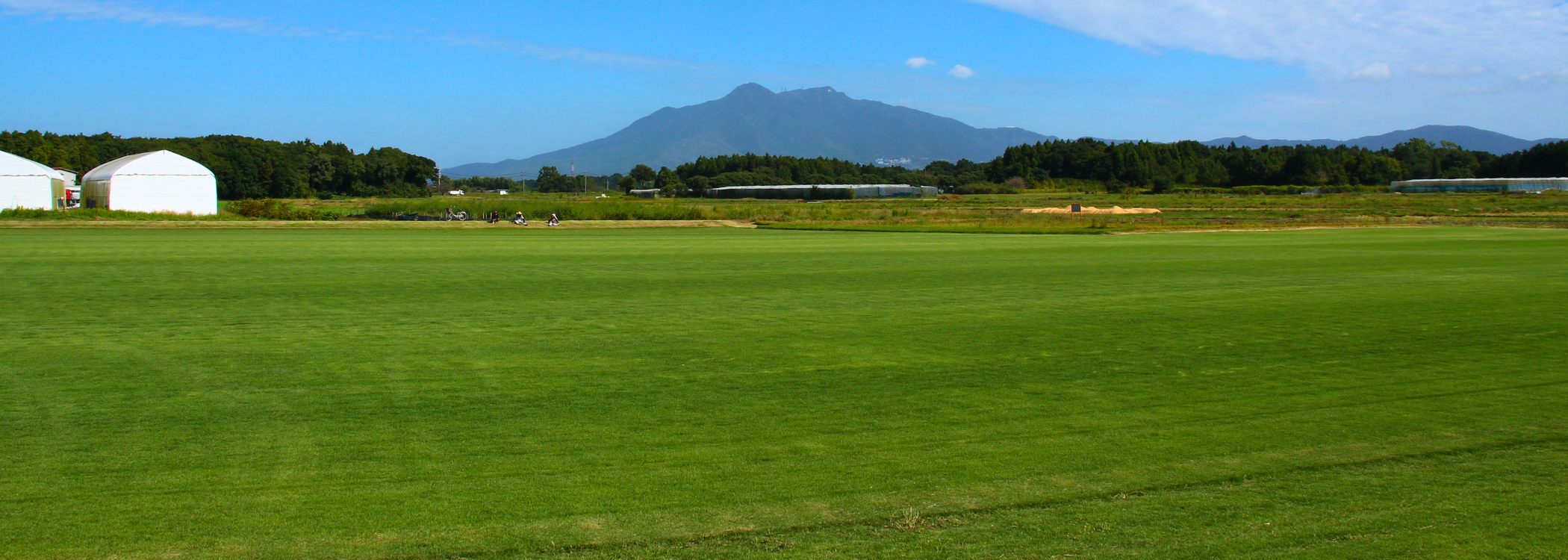 Turf Farmland